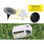 Stainless Steel Outdoor Ground Solar LED Lights Pack of 8 - Disk Waterproof with 8 White LED Solar Powered for Pathway, Landscape and Patio Lighting - Ground Disk for Sidewalk and Garden Decorations
