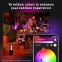 Philips Hue Econic Outdoor White & Color Wall & Ceiling Light Fixture (Hue Hub Required, Works with Alexa, Apple Homekit & Google Assistant)