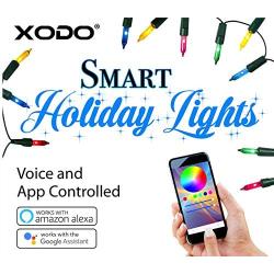 XODO DL2 Indoor/Outdoor WiFi RGB String Lights 70ft 200LED, Smart Controlled by App, Infinite Color String Lights for Christmas Tree Or Around House, Works with Alexa, Google Home, Siri (70ft)