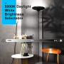 Lightdot 24W LED Torchiere Floor Lamp, Brightness Selectable, 5000K Standing Lamp for Bedroom, Living Room, Tall Pole Light for Reading & Offices