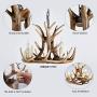 Resin Antler Chandelier 3 Light, Antler Lighting Vintage Style Deer Horn Ceiling Light for Living Room,Bar,Cafe, Dining Room