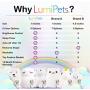 LumiPets LED Bunny Battery-Operated/USB-Powered Silicone Night Light For Kids with 9 Tap-To-Activate Colors