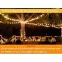 2-Pack Dimmable Outdoor Bistro String Lights for Patio, Waterproof Hanging Vintage 11W Edison Bulbs, 48Ft Commercial Lights String Perfect for Cafe Backyard Pergola, Blk(96ft) 2-Pack Dimmable Outdoor Bistro String Lights for Patio, Waterproof Hanging Vintage 11W Edison Bulbs, 48Ft Commercial Lights String Perfect for Cafe Backyard Pergola, Blk(96ft)