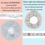 Bluetooth Music LED Lights Strip, 32.8ft LED Strip Lights for Bedroom, Smart-Phone Outdoor LED Lights Waterproof SMD5050 300LEDs Strip Lights with 12V Power Supply for Decor Holiday，Party and Room