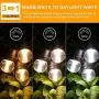 3-Color in 1 LED Dimmable Outdoor String Lights with Remote,48FT Connectable Waterproof Patio Lights of String,G45 Bulbs Warm/Nature/Daylight White Shatterproof LED String Lights for Bistro Pergola