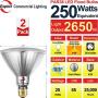 Explux 250W Equivalent LED PAR38 Flood Light Bulbs, 2650 Lumens, 4100K 2-Pack, Outdoor Full-Glass Weatherproof, Dimmable, Cool White