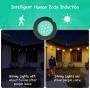 54FT LED Outdoor Patio String Lights with Dimmer Remote Control, 17 Shatterproof Bulbs, 5 Brightness, IP65 Waterproof lights for Cafe, Party, Porch