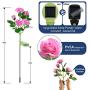 Solar Garden Lights Outdoor - Upgraded Realistic LED Solar Powered Rose Lights Flower Stake, Waterproof Solar Decorative Lights for Patio Pathway Courtyard Garden Lawn (Pink) Solar Garden Lights Outdoor - Upgraded Realistic LED Solar Powered Rose Lights Flower Stake, Waterproof Solar Decorative Lights for Patio Pathway Courtyard Garden Lawn (Pink)