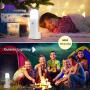 Motion Sensor Light Indoor, Dimmable LED Night Light, Build in 2000mAh Rechargeable Battery Operated, Portable Motion Activated Night Light for Kids Room, Bathroom,Living Room, Bedroom.Cold(2 Pack)