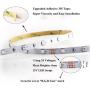 Rxment RGB LED Strip Lights with Remote 10M 32.8 Ft 5050 RGB 300LEDs Full Kit, Blue LED Light Strip, LED Lights Strip, LED Night Light, LED Christmas Lights, LED Rope Lights, LED Tape Light