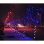 33ft LED Rope Lights,110V 2 Wire Connectable Christmas Rope Lights Outdoor,240 LED Waterproof Indoor Outdoor Blue Rope Lights for Deck, Patio, Pool, Camping, Halloween Decorations(Blue)