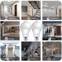 Motion Sensor Light Bulb- 2 Pack, AmeriTop 10W(60W Equivalent) 806lm Motion Activated Dusk to Dawn Security LED Bulb; UL Listed, A19, E26, Auto On/Off Indoor Outdoor Lighting (5000K Daylight)