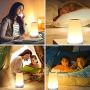 Table Lamp Touch Night Light - Portable Sensor Remote Control Bedside Lamps with Quick Rechargeable USB Dimmable Warm White Light 13 Colors RGB Table Lamp for Bedroom Living Room Office (White Wood)