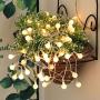 Globe String Lights for Bedroom, Super Cute Fairy Led Hanging Lights , Wall Decorative Indoor, Living Room, Outdoor Patio
