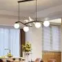 Kankanray 4-Lights Nordic Creative Chandelier Modern Resin Bird Glass Ceiling Lamp Flush Mount Lighting Fixture for Bar Dining Room Living Room Bedroom (Black)
