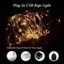 GLPE LED Rope Lights, 2 Pack X 33ft 100 LEDs Outdoor Rope Lights Waterproof 16 Color Changing Multicolor with Remote, Fairy Rope Lights USB Powered for Christmas Indoor Garden