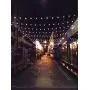 Dailyart Globe String Light,LED Starry Light Fairy Light for Wedding,Xmas Party (Warm White, Battery-powered, 13feet/4meters)