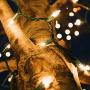 RECESKY Christmas String Lights with Timer - 50 LED 19ft Fairy Battery Operated Mini String Light for Outdoor Indoor Garden Patio Party Home Wreath Xmas Decor Christmas Tree Decoration - Warm White
