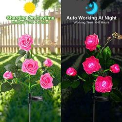 Fuzaws Solar Lights Outdoor Rose Flower, 2 Pack Solar Powered Garden Decorations with 10 Bigger Rose Flower, WaterproofLights for Garden Patio Yard Pathway Decoration (Pink Rose)