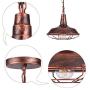CINOTON Farmhouse Pendant Light, Industrial Metal Cage Pendant Lighting for Kitchen Island, Pendant Ceiling Light Fixture for Dining Room