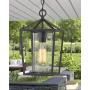 Emliviar Modern Outdoor Pendant Light, 1-Light Outdoor Hanging Lantern Light in Balck Finish with Clear Glass, 20065H BK