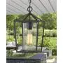 Emliviar Modern Outdoor Pendant Light, 1-Light Outdoor Hanging Lantern Light in Balck Finish with Clear Glass, 20065H BK Emliviar Modern Outdoor Pendant Light, 1-Light Outdoor Hanging Lantern Light in Balck Finish with Clear Glass, 20065H BK