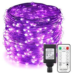 ER CHEN 99ft Led String Lights, 300 Led Fairy Starry Lights on 30M Silvery Copper Wire String Lights + 12V DC Power Adapter + Remote Control for Christmas (Purple)