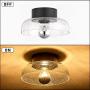 TeHenoo Semi Flush Mount Ceiling Light,Seeded Glass Shade Ceiling Light Fixture for Dining Room,Cafe, Bar, Corridor, Hallway, Entryway, Passway