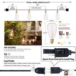 25Ft Outdoor Edison Bulb String Lights with 27 Edison ST35 Bulbs (Plus 2 Extra Bulbs), UL Listed for Indoor/Outdoor Decor, Perfect for Patio, Garden, Backyard, Porches, Bistro, Party, Black Wire