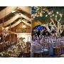 Twinkle Star 66FT 200 LED Indoor String Lights Warm White, Plug In String Lights 8 Modes Waterproof for Outdoor Christmas Wedding Party Bedroom