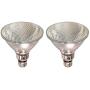 Sterl Lighting - Pack of 2 PAR38 Canister Light Bulb Flood Halogen , 70 Watt High Output (90W Replacement) , 120 Volts , E26 Base , 2700K , 800 Lumens