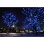 Marchpower Christmas String Light- 300 LED 131 feet 8 Modes Battery Operated Fairy Lights, Waterproof Indoor/Outdoor Decorative Lights for Xmas Tree Wedding Party Festival, Blue