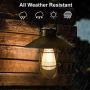 pearlstar Solar Lantern Outdoor Hanging Light Rustic Solar Lamp with Warm White Edison Bulb Design for Garden Yard Patio Porch Decor(Copper,)