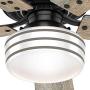 HUNTER 55080 Cedar Key Indoor / Outdoor with LED Light and Remote Control, 52'', Matte Black