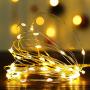 BEAUTY DY Led String Lights, Mini Battery Powered Copper Wire Starry Fairy Lights, Battery Operated Lights for Parties, Wedding, Bedroom, Christmas, Centerpiece, Decoration (5m/16ft Warm White)