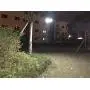 Solar Lights Outdoor, 3 Leaf Solar Pendant Light with Adjustable Multi-Position Panels, 60 LED IP65 Waterproof Solar Lamp with Remote Control, for Garage, Deck, Fence, Patio, Shed, Tent (Three Leaf) Solar Lights Outdoor, 3 Leaf Solar Pendant Light with Adjustable Multi-Position Panels, 60 LED IP65 Waterproof Solar Lamp with Remote Control, for Garage, Deck, Fence, Patio, Shed, Tent (Three Leaf)