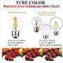 LiteHistory Dimmable E26 Edison Bulb G16.5 Light Bulb 6W Equal 60 watt Light Bulb AC120V Warm 2700K E26 Light Bulb for Pendant,Chandeliers,Vanity,Wall scones Edison Light Bulbs 60 Watt 600lm 6Pack