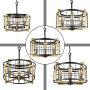 Bizinlumin Luxury Round Gold Pendant Lighting, Modern Black Dining Room Chandelier Light Fixture Industrial Metal Cage Living Room Entry Bedroom Drum Light 4 Lights Edison E26 BY19002G