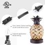 Mercury Glass Pineapple Lamp, Golden Glass Table Lamp for Bedroom, Dresser, Living Room, Kids Room, Coffee Table, Office, Bookstore, Festival Decor and Gift (Gold)