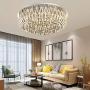 Healer 23.6 inch Crystals Ceiling Light Fixtures with LED Lights and Remote Control, Modern Luxury Chandelier Lighting Dining Lamp with 9 E14 Base Flush Mount for Living Room Bedroom