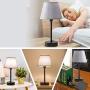 Focondot Touch Control Lamps, Built in 2 USB ports and 1 AC Outlet Bedside Table Lamp, Gray Nightstand Lamps Include 2 Dimmable Edison LED Bulbs, Ideal USB Lamps for Bedroom Living Room Office(2 Pack)