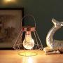 n / a Cage Bulb Lantern Lamp, Decorative Battery Powered Cordless Light, Warm White Fairy LED Bulb Lamp for Outdoor Garden Living Room Bedroom Wedding Party n / a Cage Bulb Lantern Lamp, Decorative Battery Powered Cordless Light, Warm White Fairy LED Bulb Lamp for Outdoor Garden Living Room Bedroom Wedding Party