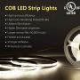 White LED Strip Light,PAUTIX Dimmable COB LED Strip Lights Kit 6500K Daylight White CRI80+ 16.4ft Under Cabinet 12V LED Tape Lights with 3M Self-Adhesive for Kitchen Bedroom Home DIY,UL-Listed