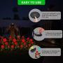 HeyMate Solar Garden Lights Outdoor 2 Pack Solar Red Rose Flower Lights with 10 Rose Flowers Solar Christmas Decorative Lights Waterproof for Backyard,Patio,Pathway,Xmas Decorations