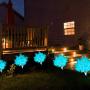 Maelove Solar Lights Outdoor Decorative, 2 Pack LED Solar Flower Lights IP65 Waterproof Solar Powered Stake Lights for Garden Patio Yard Pathway
