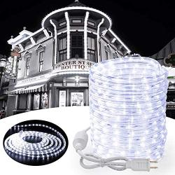 Toodour Christmas Rope Lights, 32.8ft 240 LED Tube Lights, Connectable Indoor Outdoor Clear Rope Christmas Lights for Garden, Patio, Bedroom, Party, Wedding, Christmas Decorations (White)