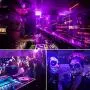 SHPODA 33ft LED Black Light Strip Kit,600 Units,385nm-400nm,12V Flexible Blacklight Fixtures,10M LED Ribbon,Non-Waterproof for Indoor,Birthday,Wedding,Dark Party