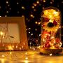 YIHONG 2 Pack Christmas Fairy Lights Battery Operated with Remote Control, 16ft 8 Modes String Lights 50Leds Twinkle Firefly Lights for Patio Garden Party Decoration- Warm White