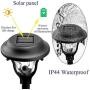 GIGALUMI Solar Pathway Lights Outdoor, Wireless LED Solar Garden Lights, Waterproof Solar Path Lights for Outdoor Patio, Yard, Walkway, Lawn. (6 Pack)