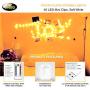 VNSG 40 LED Photo Clip String Lights for Bedroom Wall Decor┃Battery or Plug In┃Fairy Lights to Hang Pictures Christmas Cards, Wedding Photos┃20ft Soft White┃Photo Lights with Clips for Picture Hanging